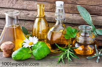 aceite ingredientes